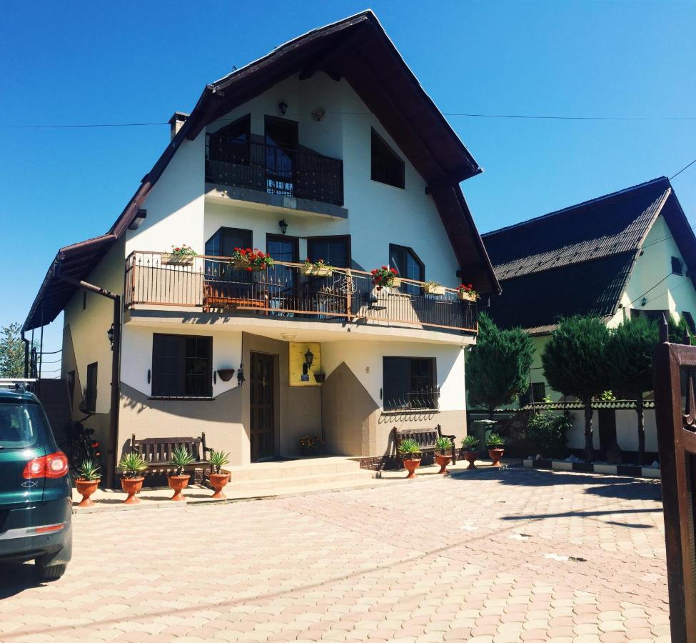 Casa Alberta Ocna Şugatag Exteriér fotografie